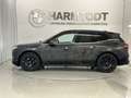 BMW iX xDrive40 *Sportpaket* Grau - thumbnail 2