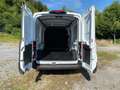 Ford Transit Kasten E 350 L3 Elektromotor Elektro Trend 68kWh R Blanco - thumbnail 6