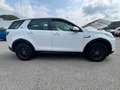 Land Rover Discovery Sport 2.0 TD4  awd 150cv auto 7 posti - GA308GT Wit - thumbnail 6