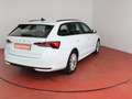 Skoda Octavia Selection 2.0TDI DSG 299,-ohne Anzahlung Navi ACC Weiß - thumbnail 3