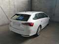 Skoda Octavia Selection 2.0TDI DSG 299,-ohne Anzahlung Navi ACC Weiß - thumbnail 5