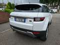 Land Rover Range Rover Evoque 5p 2.0 td4 HSE Dynamic Automatica Blanc - thumbnail 14