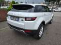 Land Rover Range Rover Evoque 5p 2.0 td4 HSE Dynamic Automatica Blanc - thumbnail 4