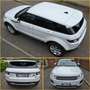 Land Rover Range Rover Evoque 5p 2.0 td4 HSE Dynamic Automatica Blanc - thumbnail 2