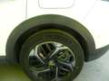 Citroen C4 Shine PT130 EAT8 Werksgarantie Weiß - thumbnail 9