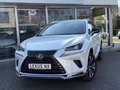 Lexus NX 300h Luxury Line | Trekhaak, Leer, Stoel + Stuurverwarm Wit - thumbnail 35