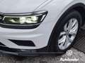 Volkswagen Tiguan 2.0 TDI SCR DSG Advanced BlueMotion Technology Wit - thumbnail 4