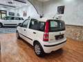 Fiat Panda Panda 1.2 Dynamic Eco Blanco - thumbnail 5