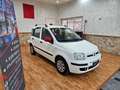 Fiat Panda Panda 1.2 Dynamic Eco Blanco - thumbnail 3
