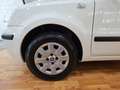 Fiat Panda Panda 1.2 Dynamic Eco Blanco - thumbnail 17
