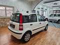 Fiat Panda Panda 1.2 Dynamic Eco Blanco - thumbnail 4