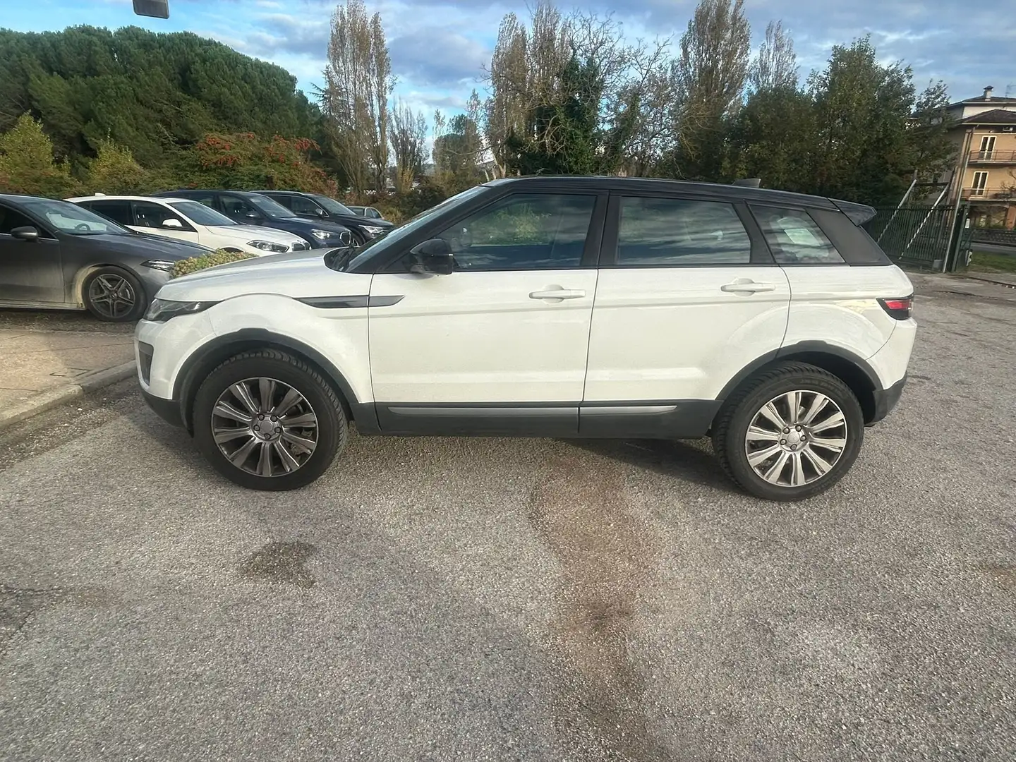 Land Rover Range Rover Evoque Range Rover Evoque I 2016 5p 2.0 td4 HSE 150cv Alb - 2