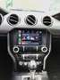 Ford Mustang Fastback 5.0 Ti-VCT GT Aut. Grigio - thumbnail 13