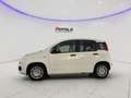 Fiat Panda 1.0 FireFly S&S Hybrid Pop Bianco - thumbnail 3