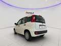 Fiat Panda 1.0 FireFly S&S Hybrid Pop Bianco - thumbnail 5