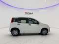 Fiat Panda 1.0 FireFly S&S Hybrid Pop Bianco - thumbnail 4