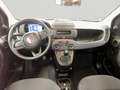 Fiat Panda 1.0 FireFly S&S Hybrid Pop Bianco - thumbnail 12