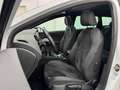 SEAT Leon ST Cupra 300 4Drive *PANO*ACC*DCC*KAMERA* Weiß - thumbnail 7