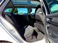 Skoda Fabia Combi 1.0 TSI Drive LED Navi Pano Klimaauto Weiß - thumbnail 9