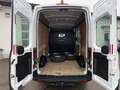 Ford Transit 350 L2 Trend Weiß - thumbnail 4
