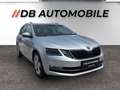 Skoda Octavia Combi 2,0 TDI Business DSG Grau - thumbnail 3