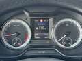 Skoda Octavia Combi 2,0 TDI Business DSG Grau - thumbnail 22