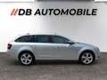 Skoda Octavia Combi 2,0 TDI Business DSG Grau - thumbnail 4
