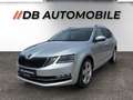Skoda Octavia Combi 2,0 TDI Business DSG Grau - thumbnail 1