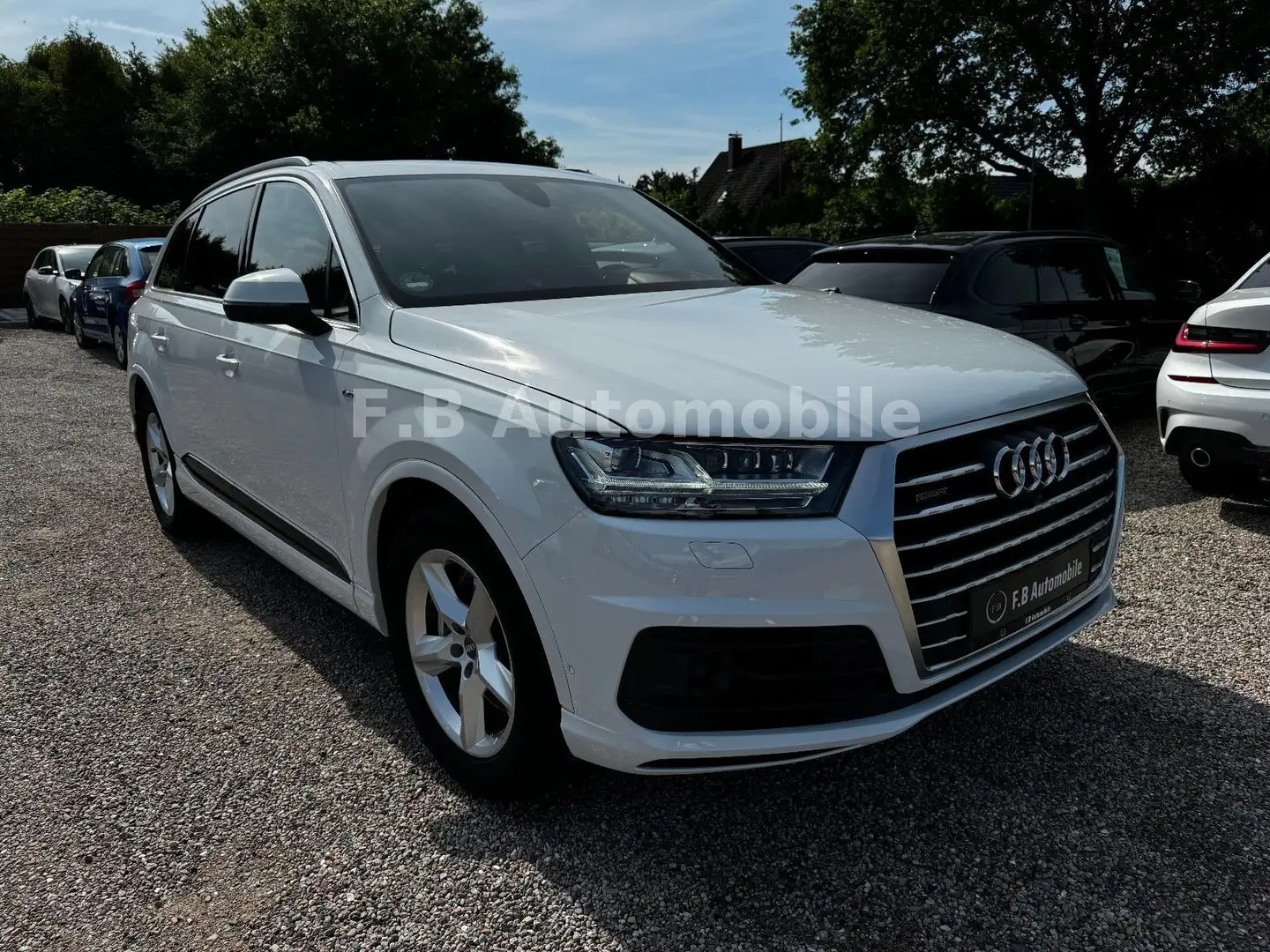 Audi Q7 3.0 TDI quattro/360*/RFK/7-SITZER/STDHZ/UVM.. Weiß - 1