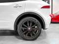 Jaguar E-Pace P240 R-Dynamic HSE AWD / MERIDIAN / PANORAMA / Wit - thumbnail 21