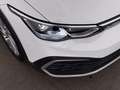 Volkswagen Golf Variant Golf VIII Variant 2.0 TDI 4Motion Alltrack Aut Weiß - thumbnail 12