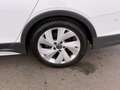 Volkswagen Golf Variant Golf VIII Variant 2.0 TDI 4Motion Alltrack Aut Weiß - thumbnail 25