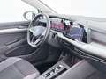 Volkswagen Golf Variant Golf VIII Variant 2.0 TDI 4Motion Alltrack Aut Weiß - thumbnail 14