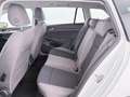 Volkswagen Golf Variant Golf VIII Variant 2.0 TDI 4Motion Alltrack Aut Weiß - thumbnail 24