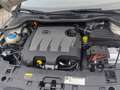 SEAT Ibiza 5p 1.6 tdi cr FR 105cv Bianco - thumbnail 6