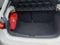 SEAT Ibiza 5p 1.6 tdi cr FR 105cv Bianco - thumbnail 2