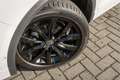 Volkswagen T-Roc 1.5 TSI 150PK DSG R-Line Blackstyle | Camera | Ala Wit - thumbnail 5