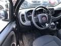 Fiat Panda MY24 1.0 Klima PDC Radio Schwarz - thumbnail 18