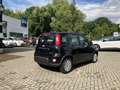 Fiat Panda MY24 1.0 Klima PDC Radio Schwarz - thumbnail 7