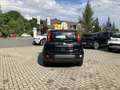 Fiat Panda MY24 1.0 Klima PDC Radio Schwarz - thumbnail 6