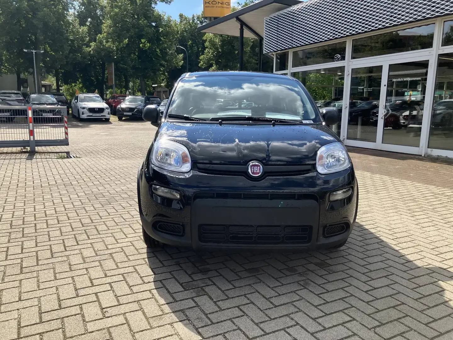 Fiat Panda MY24 1.0 Klima PDC Radio Schwarz - 2