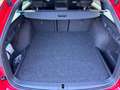 Skoda Octavia Combi RS iV 245PS *AHK*ACC* Rot - thumbnail 23
