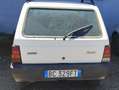 Fiat Panda Panda I 1986 0.9 Hobby Bianco - thumbnail 4