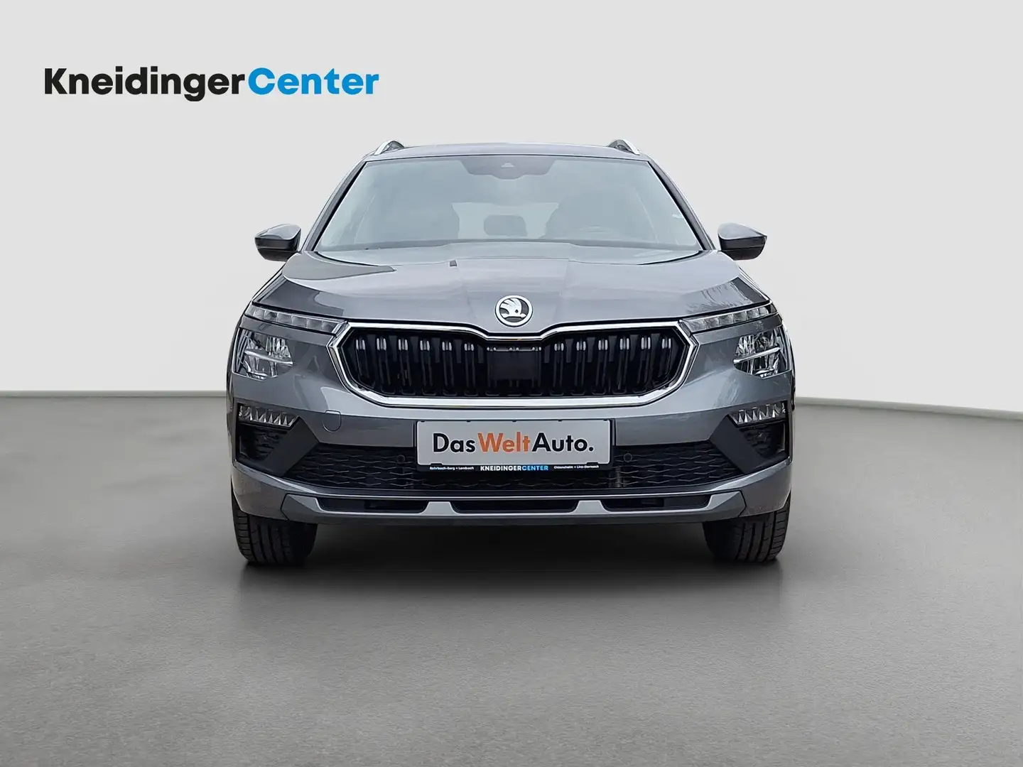 Skoda Kamiq Selection TSI DSG Grau - 2