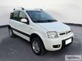 Fiat Panda Panda 1.3 MJT 16V DPF 4x4 Climbing - thumbnail 1