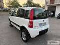 Fiat Panda Panda 1.3 MJT 16V DPF 4x4 Climbing - thumbnail 4