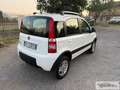 Fiat Panda Panda 1.3 MJT 16V DPF 4x4 Climbing - thumbnail 5