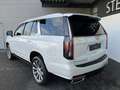 Cadillac Escalade 6.2 V8 Premium Lux.Platinum Luftfed. EU Blanco - thumbnail 4