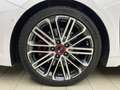 Kia GT 1.6 TGDI VIRTU+LED+NAVI+KAM+ACC+SHZ+ Weiß - thumbnail 28