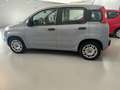 Fiat Panda easy varie panda a disposizione no vincoli - thumbnail 4
